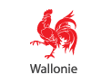 Region Wallonne